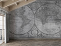 Mural vinílico autoadhesivo Wallplas Mapa mundi gris