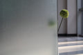 Vinilo estático para ventanas grabado ácido